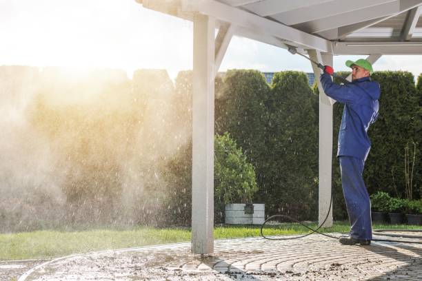 Best Building Exterior Washing  in Niles, MI